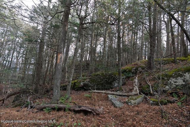 0 Manorville Road, Saugerties, NY 12477