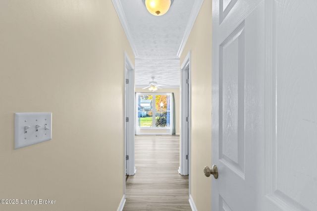 7713 Hepatica Dr, Louisville, KY 40258