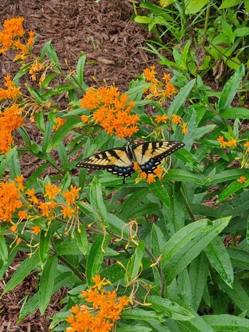 3039 Tarleton Court, Beech Island, SC 29842