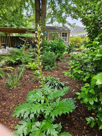 3039 Tarleton Court, Beech Island, SC 29842