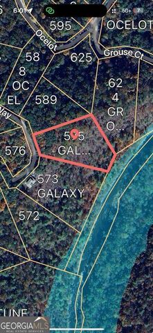 575 Galaxy Way NE, Ranger, GA 30734