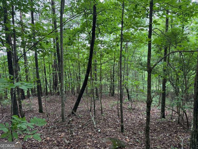 575 Galaxy Way NE, Ranger, GA 30734