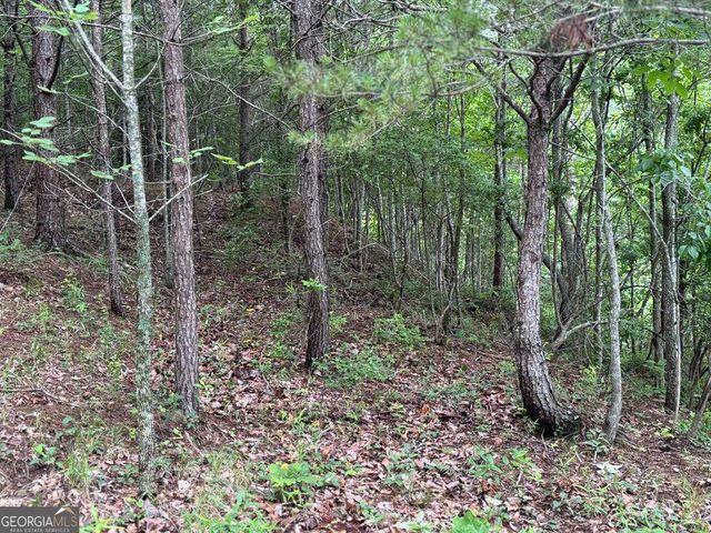 575 Galaxy Way NE, Ranger, GA 30734