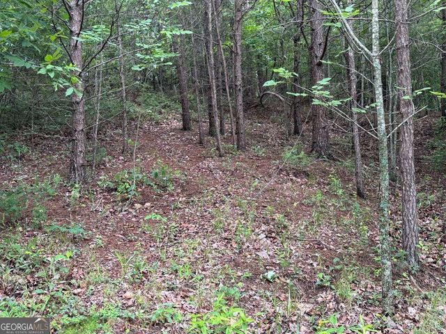 575 Galaxy Way NE, Ranger, GA 30734