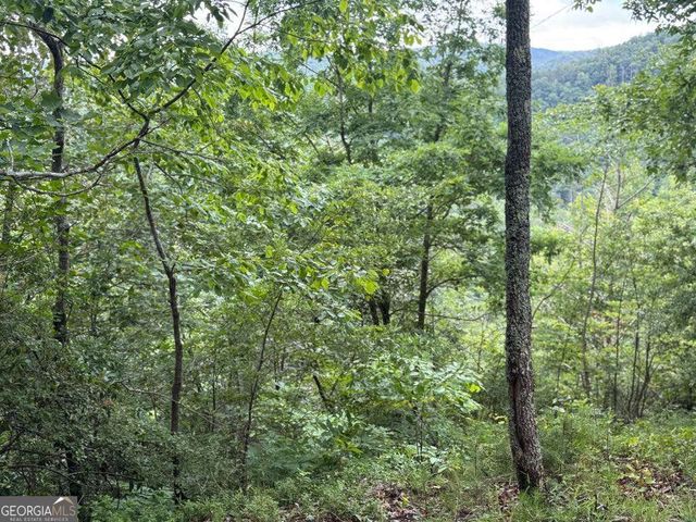 575 Galaxy Way NE, Ranger, GA 30734