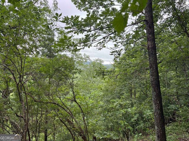 575 Galaxy Way NE, Ranger, GA 30734