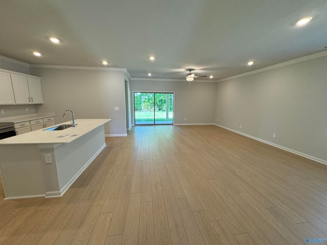 15589 Ruthie Lynn Drive, Athens, AL 35613