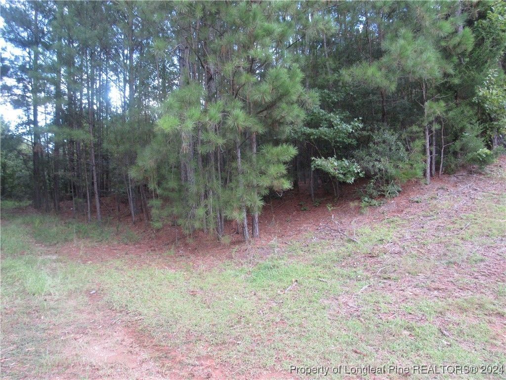 0 Boone Trail Road, Sanford, NC 27330 — photo 2