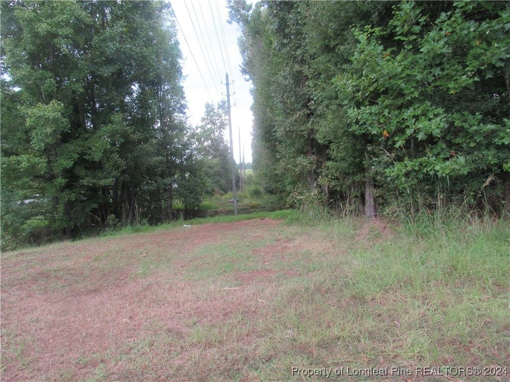 0 Boone Trail Road, Sanford, NC 27330 — photo 3