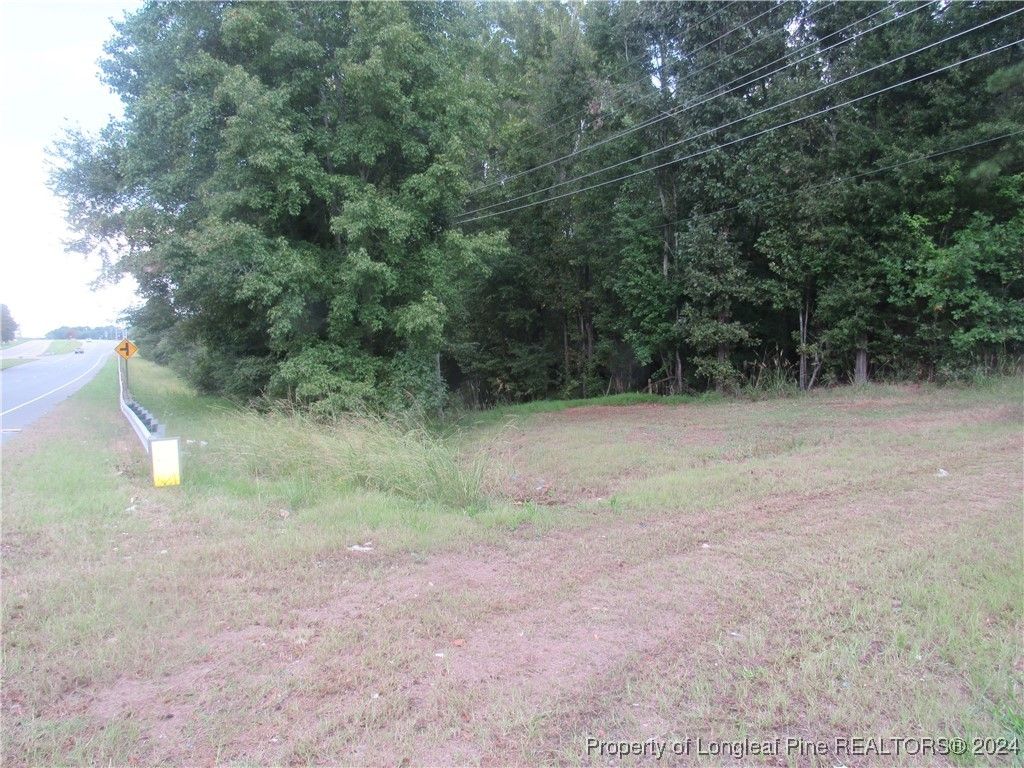 0 Boone Trail Road, Sanford, NC 27330 — photo 4
