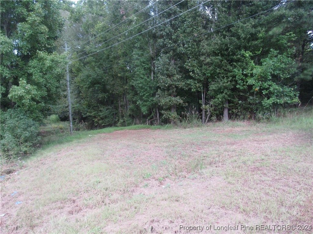 0 Boone Trail Road, Sanford, NC 27330 — photo 5
