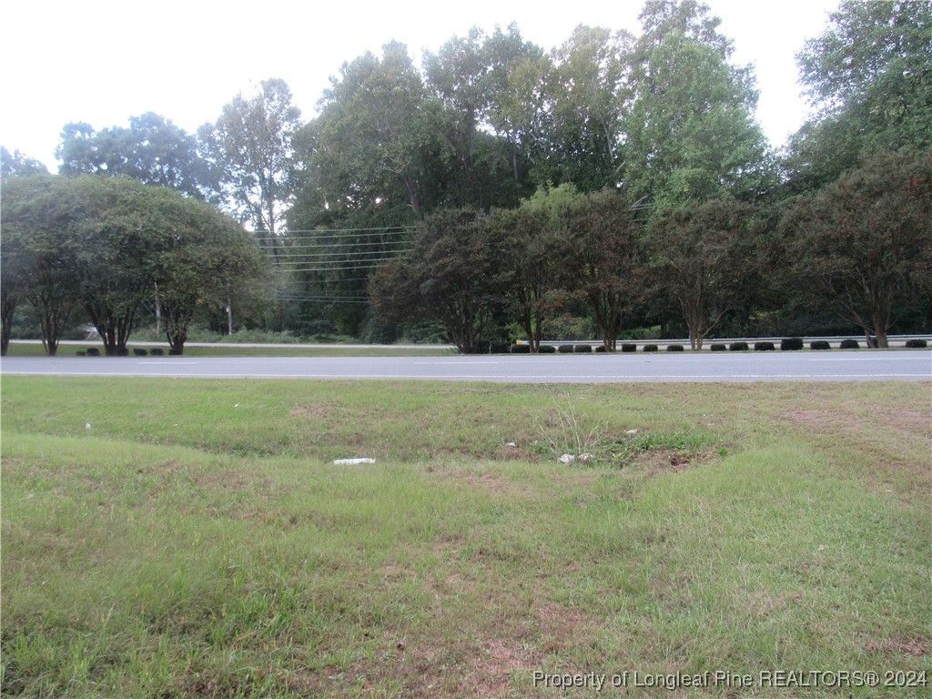 0 Boone Trail Road, Sanford, NC 27330 — photo 6