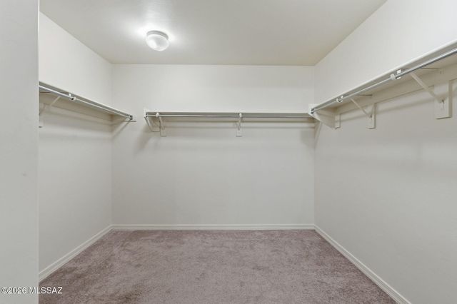 8247 W Razorbill Drive, Tucson, AZ 85757