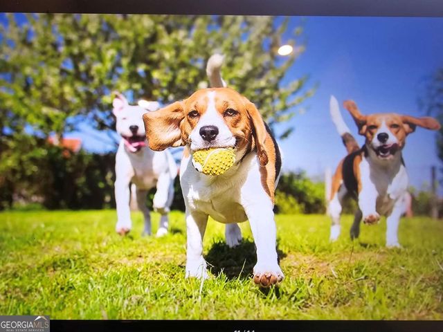 208 Parnassus Road, Locust Grove, GA 30248