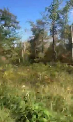 Lot # 39 Buck Creek Circle, Somerset, KY 42501