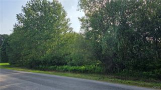 000 Irish Ridge Road, Verona, NY 13054