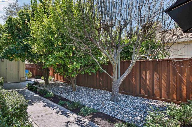 513 Buttonwood Drive, Danville, CA 94506