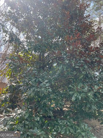 175 Loblolly Lane, Blairsville, GA 30512