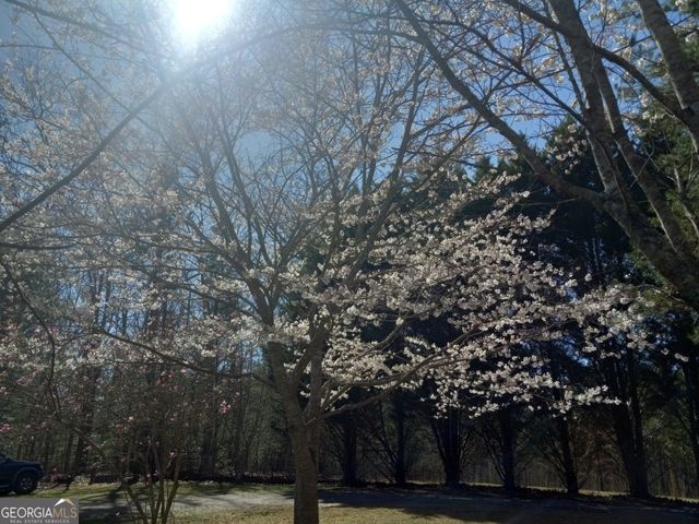 175 Loblolly Lane, Blairsville, GA 30512