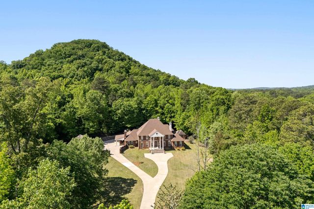3144 CAHABA VALLEY ROAD, Indian Springs Village, AL 35124