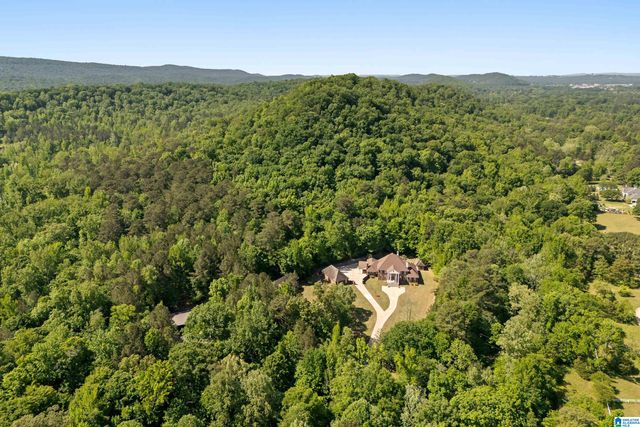3144 CAHABA VALLEY ROAD, Indian Springs Village, AL 35124