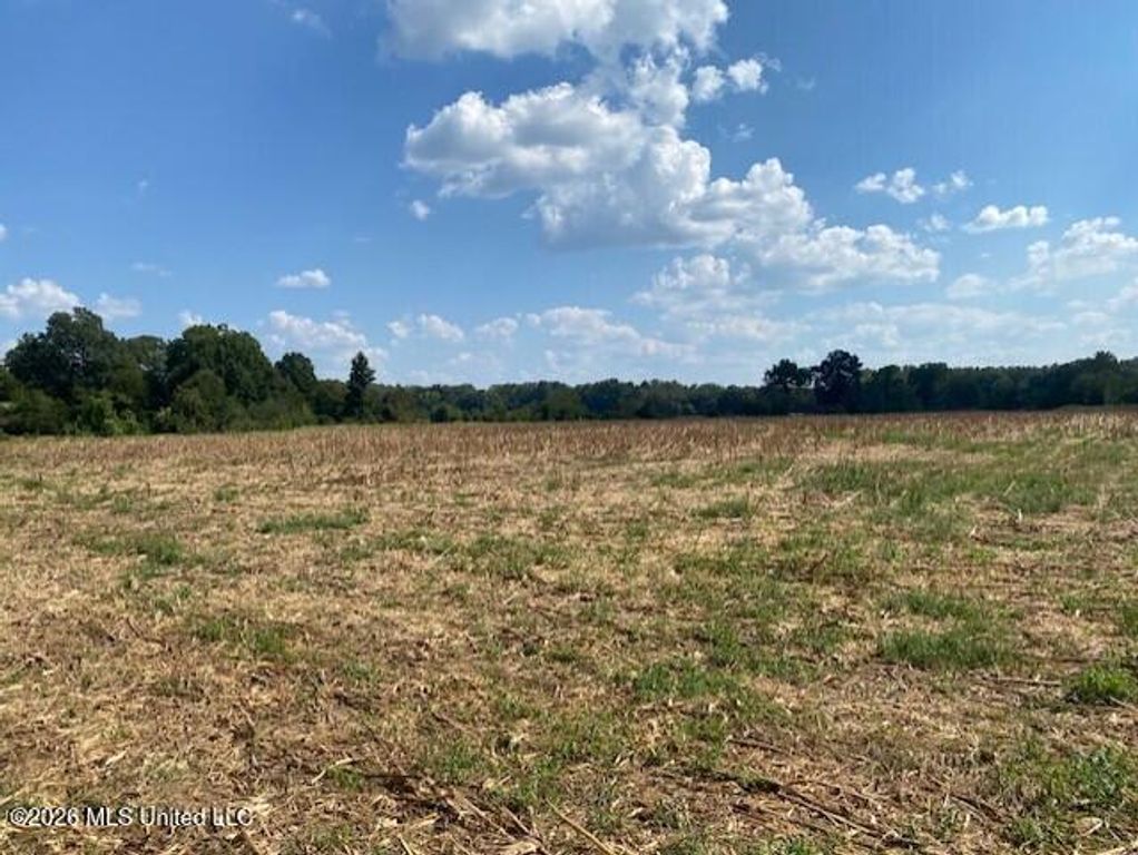 2770 Mississippi 305, Coldwater, MS 38618 — photo 2