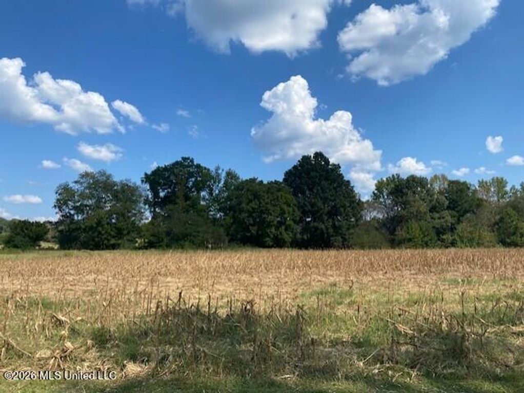 2770 Mississippi 305, Coldwater, MS 38618 — photo 3