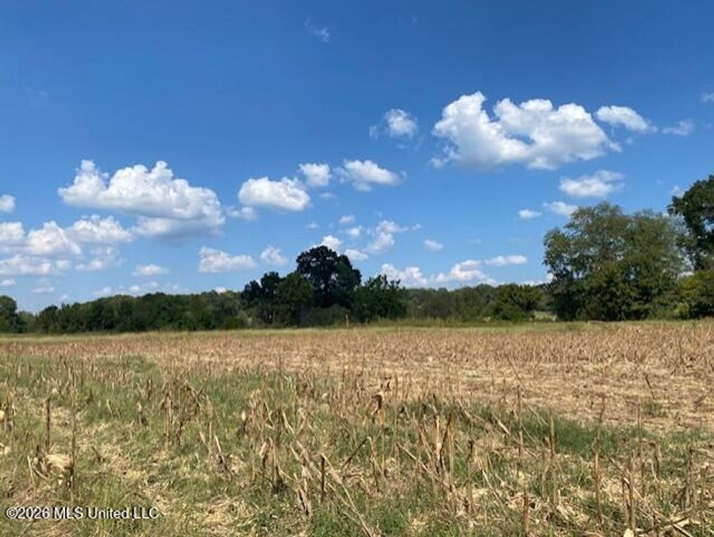 2770 Mississippi 305, Coldwater, MS 38618 — photo 5