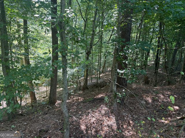 14.4 ACRES Roy Parks Road, Talmo, GA 30575