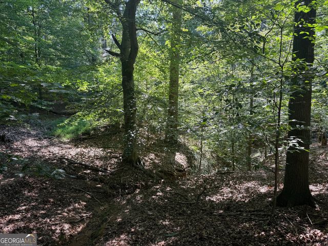 14.4 ACRES Roy Parks Road, Talmo, GA 30575