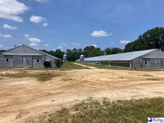 4568 Screw Pin Road, Blenheim, SC 29516