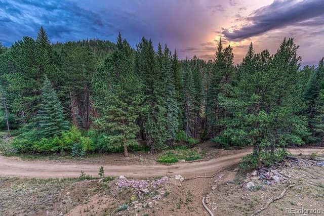 1282 N Crystal Road, Lake George, CO 80827