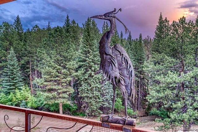 1282 N Crystal Road, Lake George, CO 80827