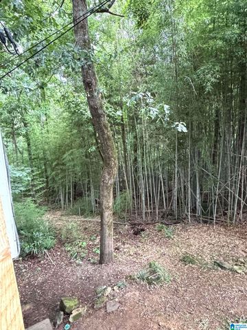 2230 MOUNTAIN VIEW ROAD, Birmingham, AL 35210
