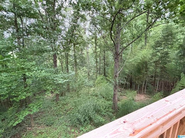 2230 MOUNTAIN VIEW ROAD, Birmingham, AL 35210