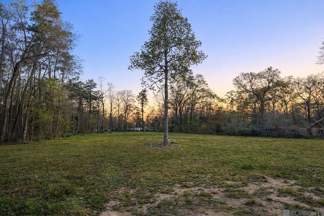 10246 Hemisphere Ln, Denham Springs, LA 70726