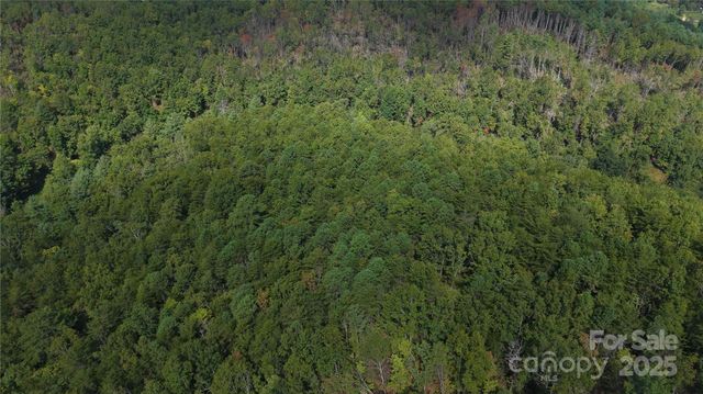Off Lavender Road, Old Fort, NC 28762