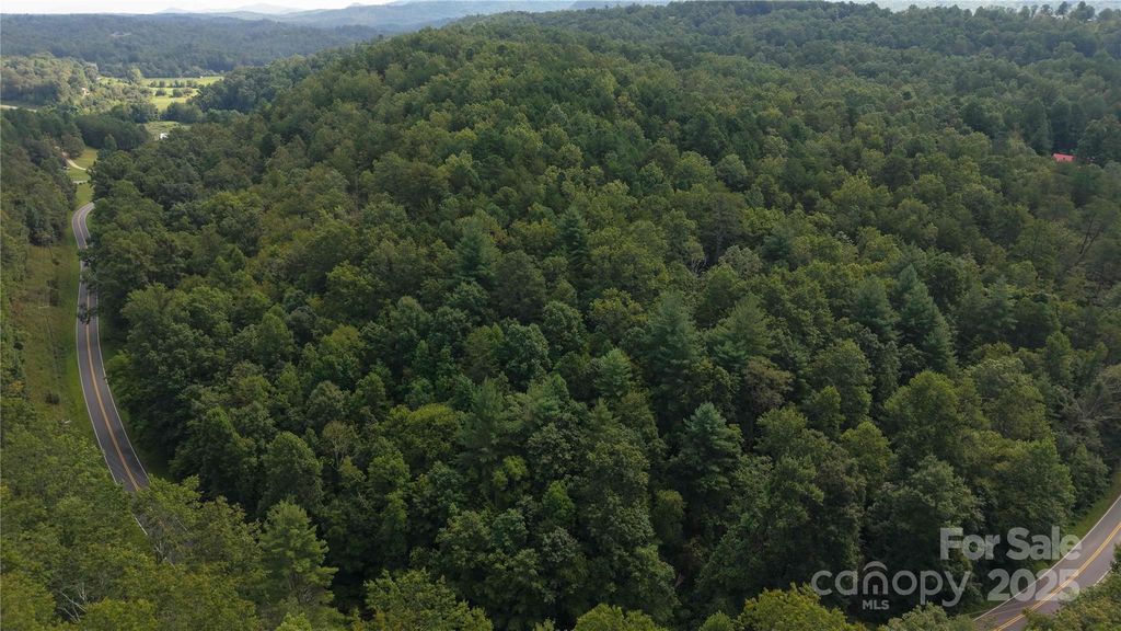 Off Lavender Road, Old Fort, NC 28762