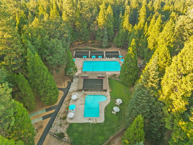 3533 Gold Ridge Trl, Pollock Pines, CA 95726