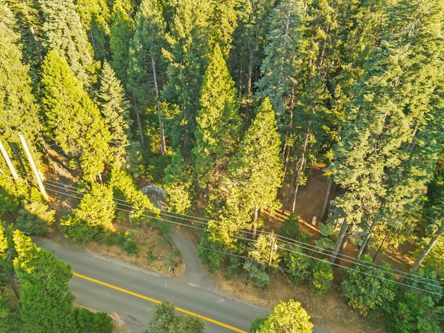 3533 Gold Ridge Trl, Pollock Pines, CA 95726