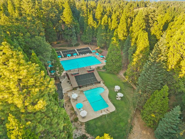 3533 Gold Ridge Trl, Pollock Pines, CA 95726