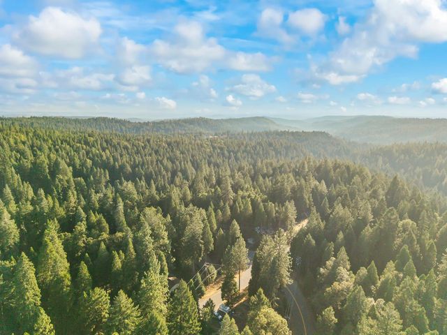 3533 Gold Ridge Trl, Pollock Pines, CA 95726