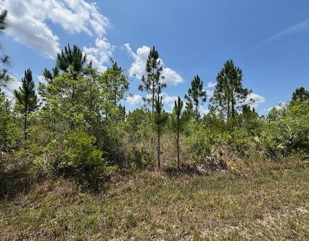 1015 CALLIANDRA DRIVE, Indian Lake Estates, FL 33855