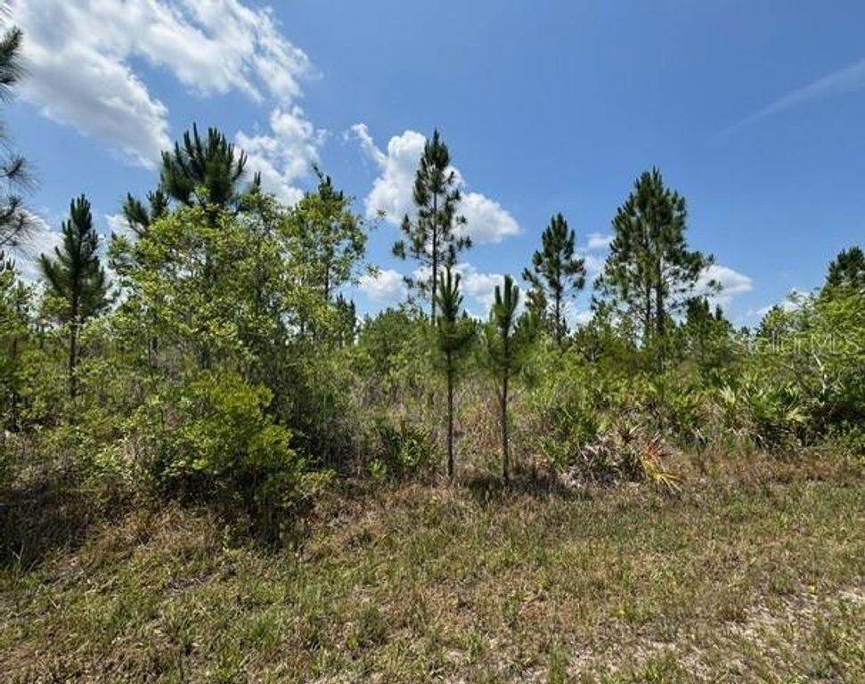 1015 CALLIANDRA DRIVE, Indian Lake Estates, FL 33855