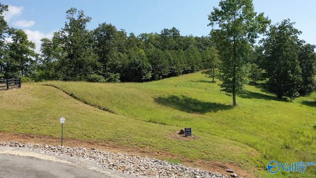 Lot 301 County Road 1022 #301, Cedar Bluff, AL 35959
