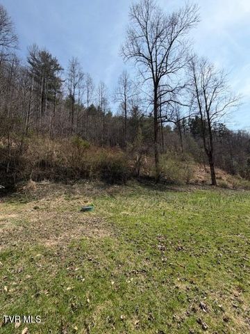 4434 Honey Branch Road, Saint Paul, VA 24283