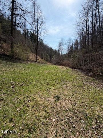 4434 Honey Branch Road, Saint Paul, VA 24283