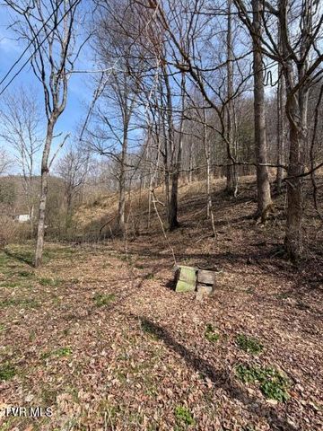 4434 Honey Branch Road, Saint Paul, VA 24283