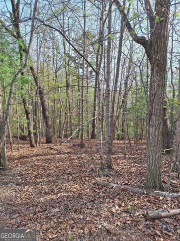 0 Mull Lane Circle, Morganton, GA 30560