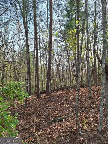 0 Mull Lane Circle, Morganton, GA 30560